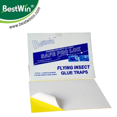 BSTW professional adhesive factory flies away for home and camping paper trap tube catch kill flies